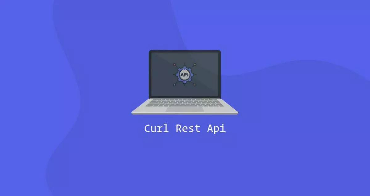 curl-rest-api-myfreax