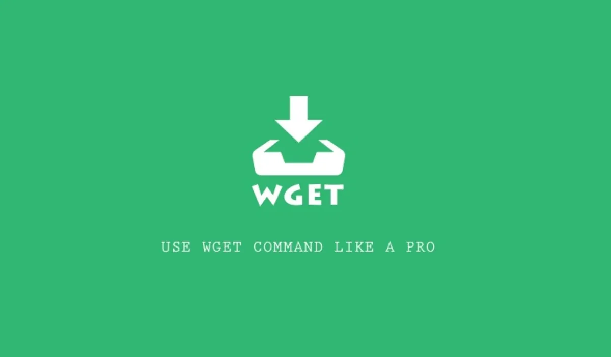 how-to-fix-bash-wget-command-not-found-error-guide