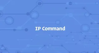 Linux ip命令教程