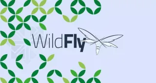 如何在CentOS 7上安装WildFly(JBoss)