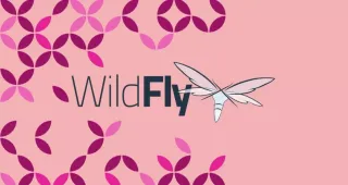 如何在Debian 9上安装WildFly(JBoss)