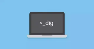 如何在Debian 11安装dig
