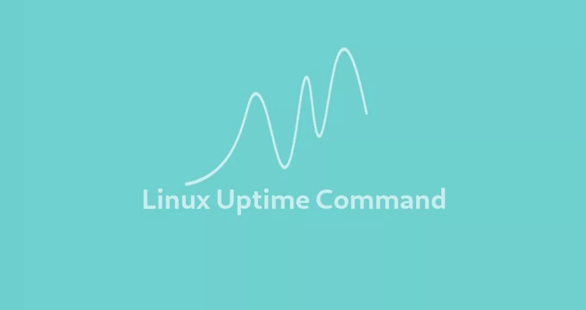 Linux uptime正常运行时间命令