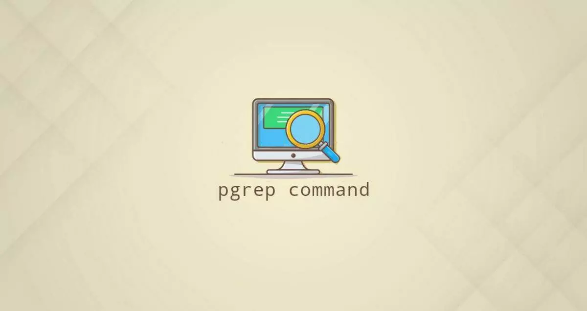Linux Pgrep命令搜索进程